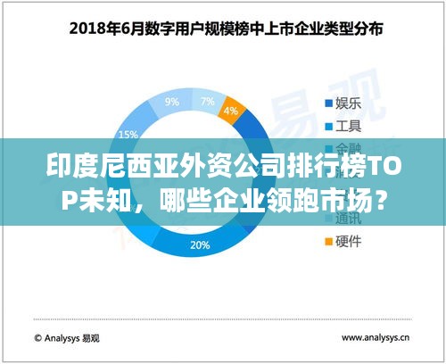 印度尼西亞外資公司排行榜TOP未知,哪些企業(yè)領(lǐng)跑市場?