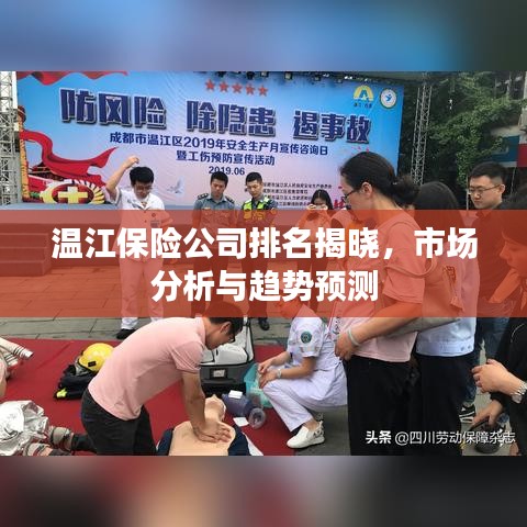 溫江保險(xiǎn)公司排名揭曉,市場分析與趨勢預(yù)測