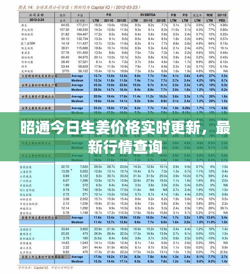 昭通今日生姜價格實時更新,最新行情查詢