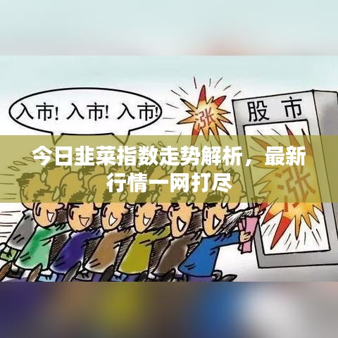 今日韭菜指數走勢解析,最新行情一網打盡