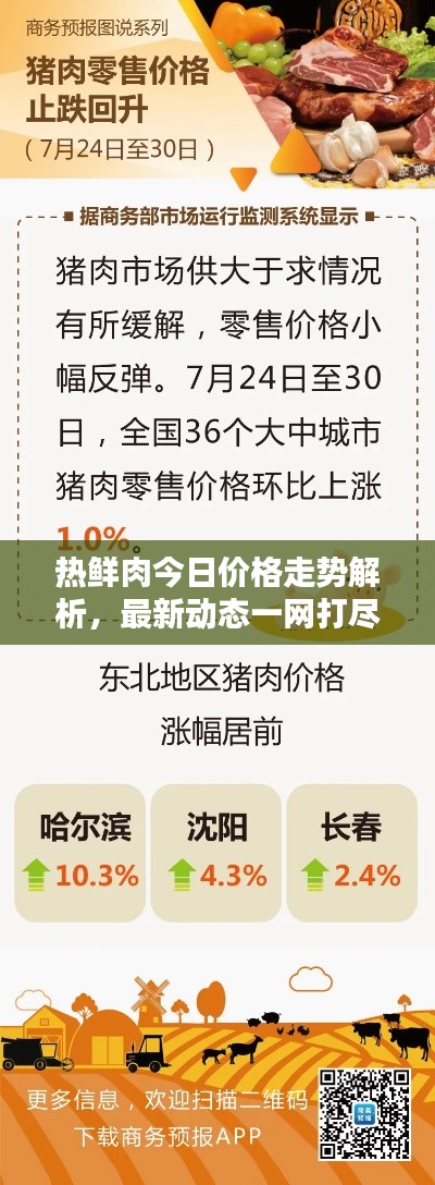 熱鮮肉今日價(jià)格走勢解析,最新動(dòng)態(tài)一網(wǎng)打盡!