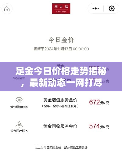 足金今日價格走勢揭秘，最新動態一網打盡