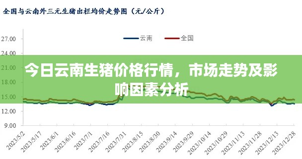今日云南生豬價格行情，市場走勢及影響因素分析