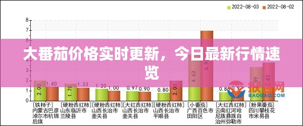 大番茄價格實時更新,今日最新行情速覽