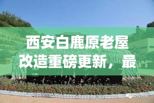 西安白鹿原老屋改造重磅更新,最新動態(tài)揭秘