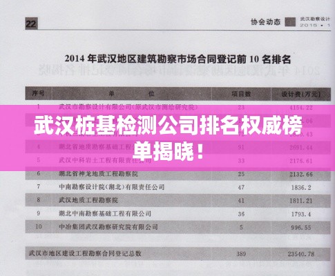 武漢樁基檢測(cè)公司排名權(quán)威榜單揭曉!