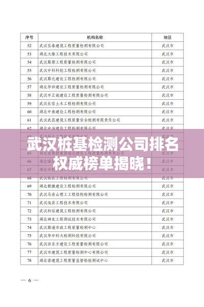 武漢樁基檢測(cè)公司排名權(quán)威榜單揭曉!