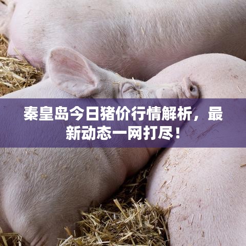 兢兢業業 第2頁