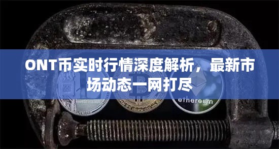 ONT幣實時行情深度解析,最新市場動態一網打盡