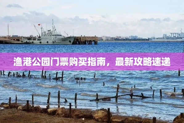 漁港公園門票購買指南，最新攻略速遞