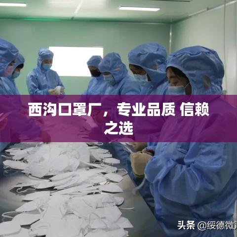 西溝口罩廠，專業品質 信賴之選