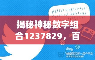 揭秘神秘數字組合1237829，百度背后的故事探秘