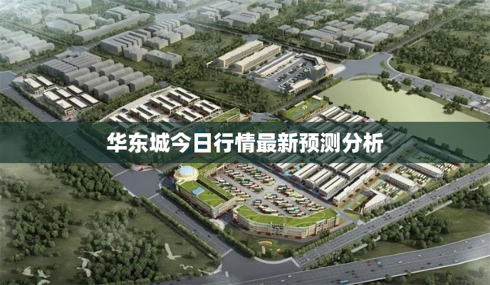 華東城今日行情最新預測分析