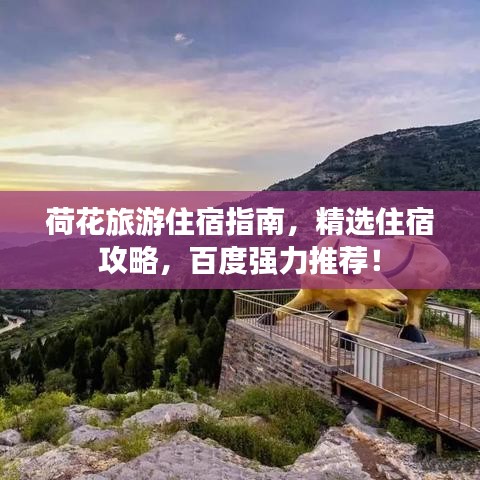荷花旅游住宿指南,精選住宿攻略,百度強力推薦!