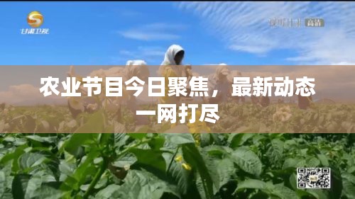 農(nóng)業(yè)節(jié)目今日聚焦,最新動態(tài)一網(wǎng)打盡