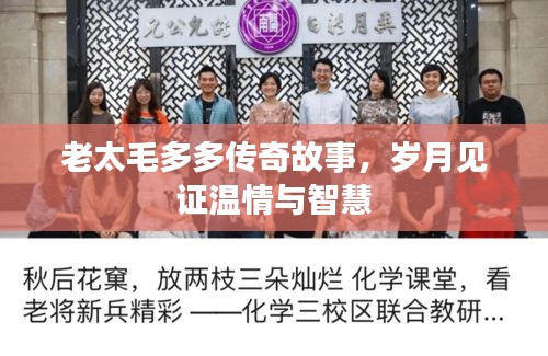 老太毛多多傳奇故事,歲月見證溫情與智慧