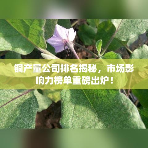 銅產量公司排名揭秘,市場影響力榜單重磅出爐!