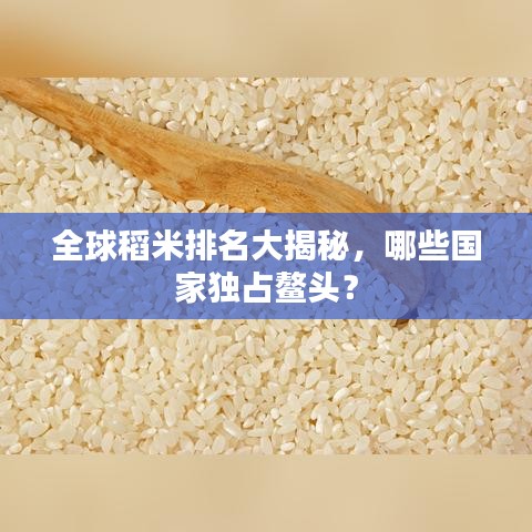 全球稻米排名大揭秘，哪些國家獨占鰲頭？