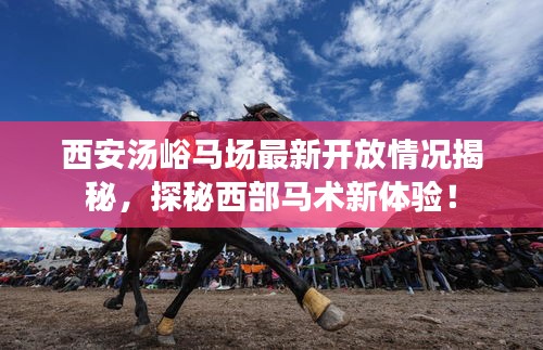 西安湯峪馬場最新開放情況揭秘,探秘西部馬術(shù)新體驗(yàn)!