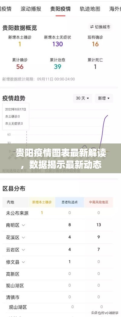 貴陽疫情圖表最新解讀,數(shù)據(jù)揭示最新動態(tài)