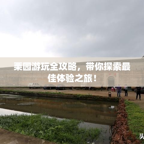 栗園游玩全攻略,帶你探索最佳體驗之旅!