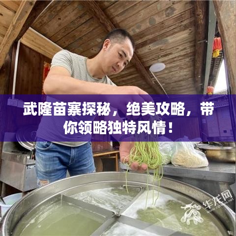 武隆苗寨探秘,絕美攻略,帶你領略獨特風情!