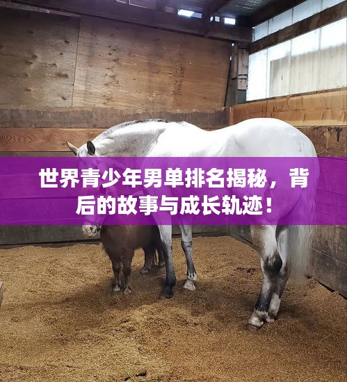 世界青少年男單排名揭秘，背后的故事與成長軌跡！
