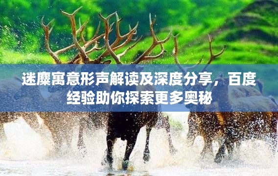迷麋寓意形聲解讀及深度分享,百度經(jīng)驗助你探索更多奧秘