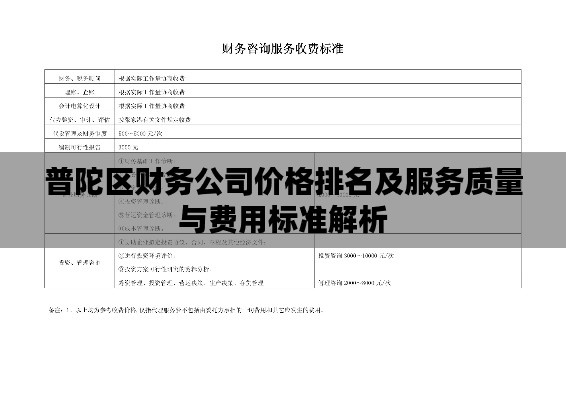 普陀區(qū)財務(wù)公司價格排名及服務(wù)質(zhì)量與費用標(biāo)準(zhǔn)解析