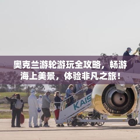 奧克蘭游輪游玩全攻略,暢游海上美景,體驗非凡之旅!