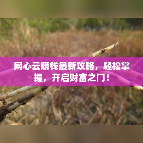 網(wǎng)心云賺錢最新攻略,輕松掌握,開啟財富之門!