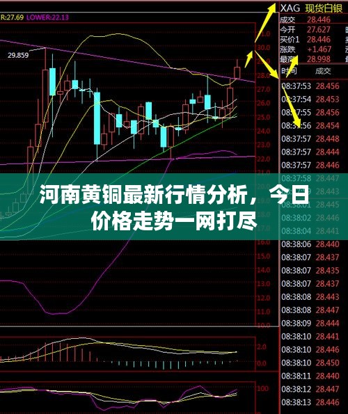 河南黃銅最新行情分析,今日價格走勢一網打盡