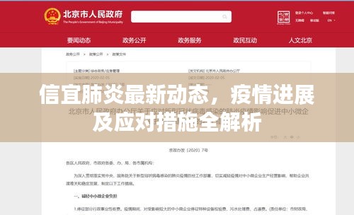信宜肺炎最新動態,疫情進展及應對措施全解析
