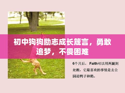 初中狗狗勵(lì)志成長(zhǎng)箴言,勇敢追夢(mèng),不畏困難