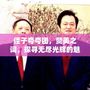 侄子夸夸團(tuán),贊美之詞,探尋無盡光輝的魅力