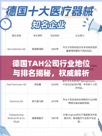 德國TAH公司行業地位與排名揭秘,權威解析引領關注焦點