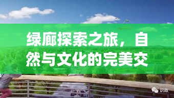 綠廊探索之旅,自然與文化的完美交融攻略
