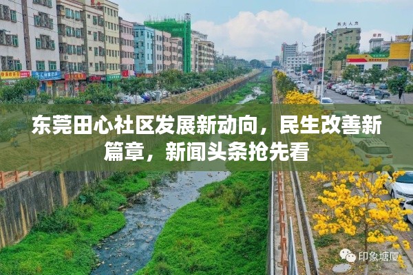 東莞田心社區(qū)發(fā)展新動(dòng)向,民生改善新篇章,新聞?lì)^條搶先看