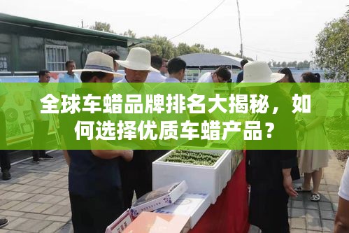 全球車蠟品牌排名大揭秘，如何選擇優質車蠟產品？
