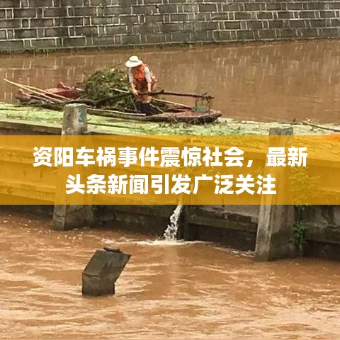 資陽車禍事件震驚社會，最新頭條新聞引發廣泛關注