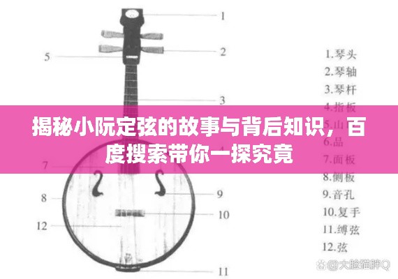 揭秘小阮定弦的故事與背后知識,百度搜索帶你一探究竟