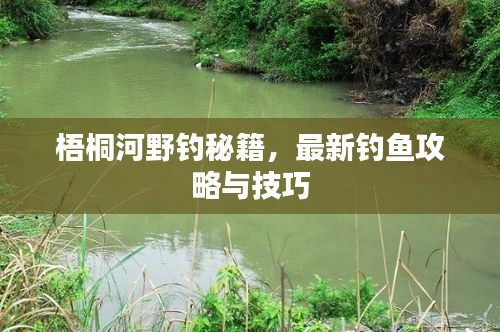 梧桐河野釣秘籍，最新釣魚攻略與技巧