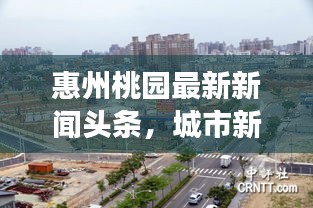惠州桃園最新新聞?lì)^條，城市新面貌與發(fā)展動(dòng)態(tài)全揭秘