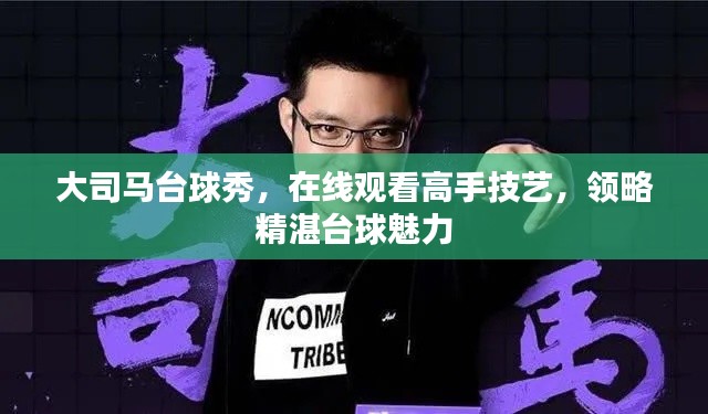 大司馬臺(tái)球秀,在線觀看高手技藝,領(lǐng)略精湛臺(tái)球魅力