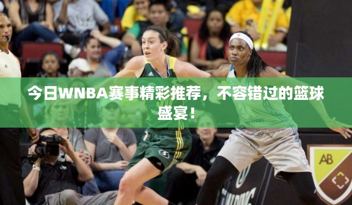 今日WNBA賽事精彩推薦,不容錯過的籃球盛宴!