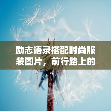 勵(lì)志語(yǔ)錄搭配時(shí)尚服裝圖片,前行路上的靈感源泉