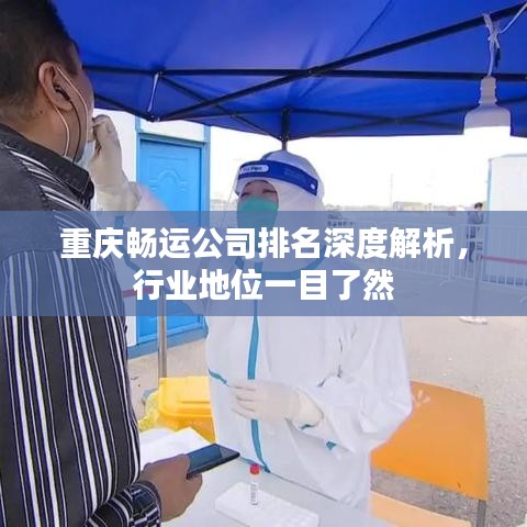 重慶暢運公司排名深度解析，行業地位一目了然