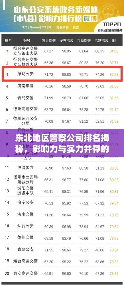 東北地區(qū)警察公司排名揭秘,影響力與實(shí)力并存的警務(wù)巨頭榜單