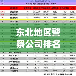 東北地區警察公司排名揭秘，影響力與實力并存的警務巨頭榜單