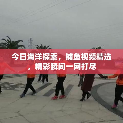 今日海洋探索,捕魚視頻精選,精彩瞬間一網(wǎng)打盡